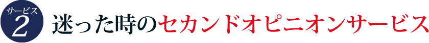 サービス3　迷った時のセカンドオピニオンサービス